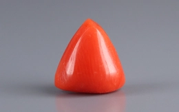 Red Coral - TC 5143 (Origin - Italy) Limited - Quality